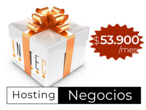 Hosting Corporativo
